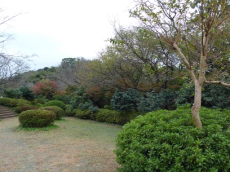 画像14